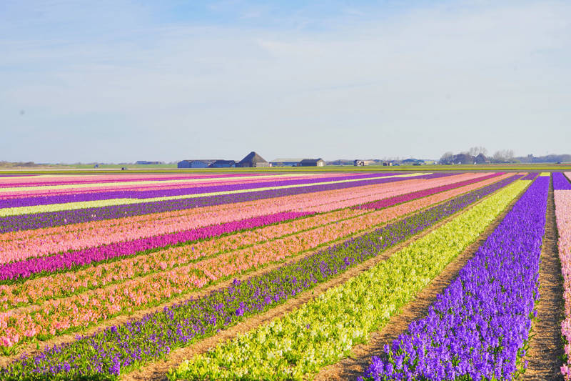 Callantsoog: jouw alternatieve Europese vakantiebestemming